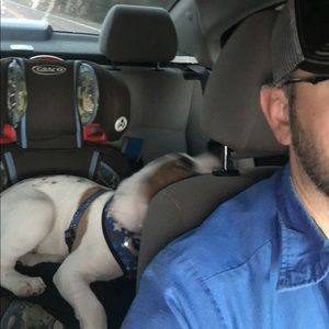 Meet your Posher, Timothy